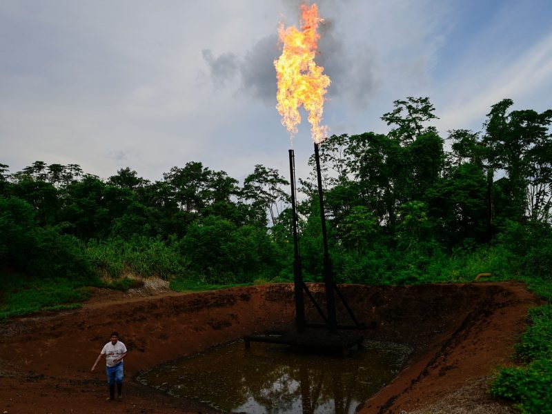 Flames flicker through the thick green trees of the Ecuadorian Amazon rainforest, where gas flares, oil wells and refineries darken the landscape and poison the environment.