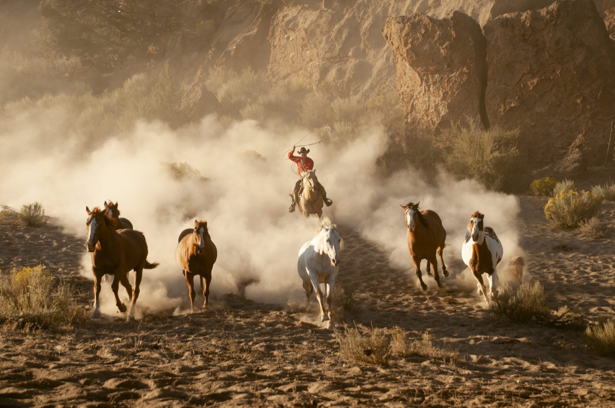 Cowboys herding horses on the Oregon high desert