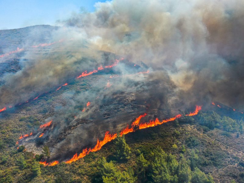 Greece has been struggling with forest fires that could not be controlled for 10 days on July 27, 2023 in Rhodes, Greece. Photo by Halil Kahraman/ dia images via Getty Images