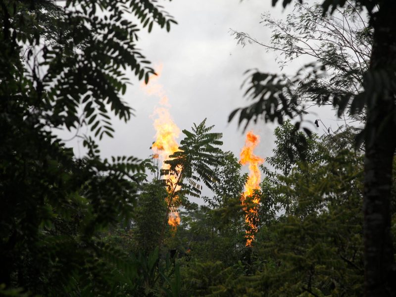 Gas flares from a refinery are seen in the Waorani Community of Bameno, Ecuador, on July 28, 2023. Photo by GALO PAGUAY/AFP via Getty Images
