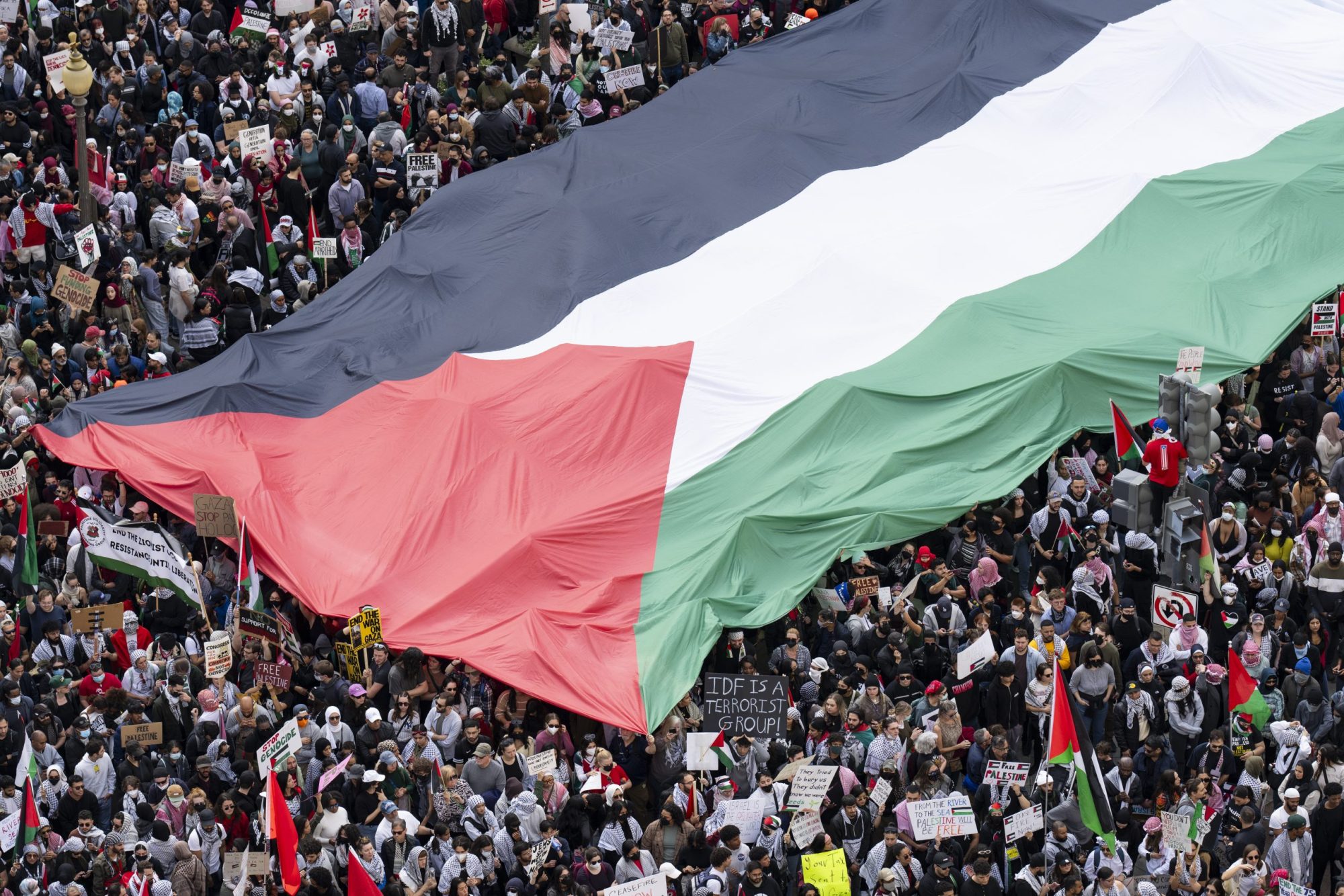A massive crowd holds up an enormous Palestinian flag