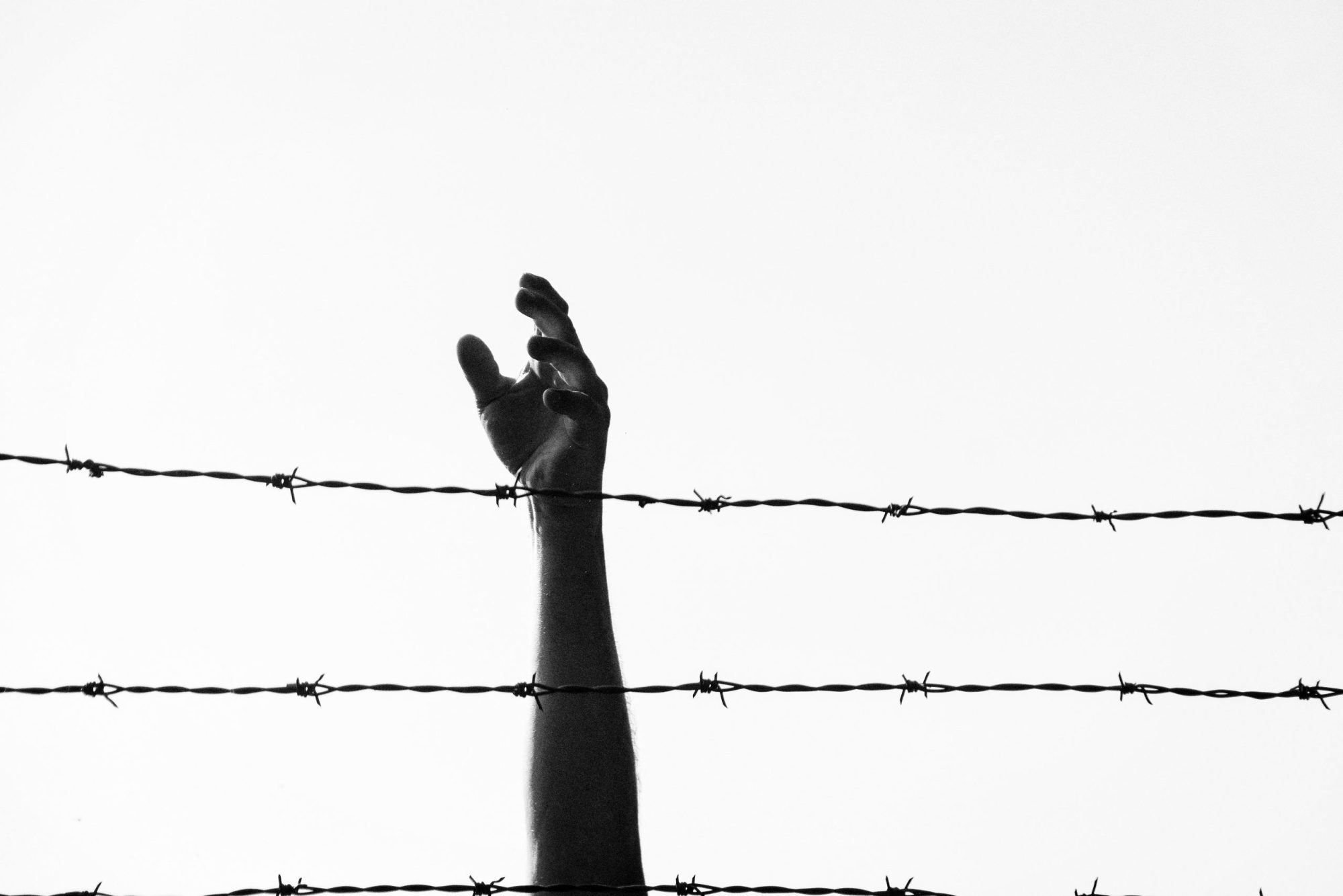 A hand reaches higher than the barbed wire in this image depicting the fight for freedom - via Getty Images