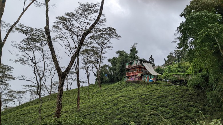 Photo of a lone, colorful house in the distance, sitting at the top of a green hill dotted with trees, a gray sky overhead, on the Happy Valley Tea Estate in Darjeeling, India, on October 12, 2022.